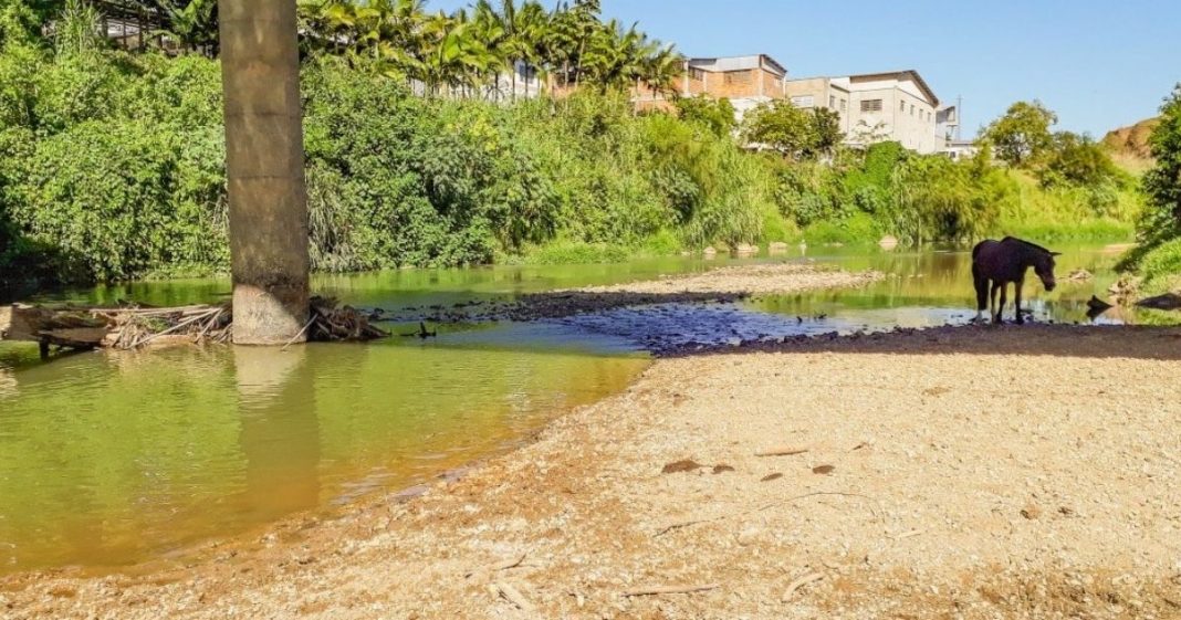 itajaí-mirim em brusque