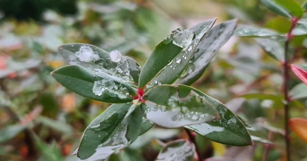 neve em são joaquim