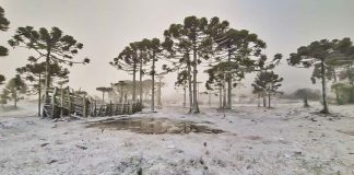 neve em são joaquim