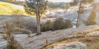 semana brusque frio