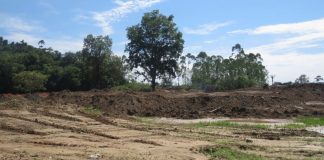 Brusque estádio próprio Havan prefeitura terreno