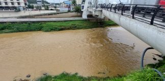 itajaí-mirim em brusque