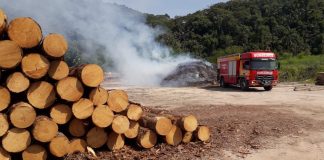 incêndio em madeireira de Gaspar