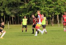 Carlos Renaux Brusque catarinense série b sub-20