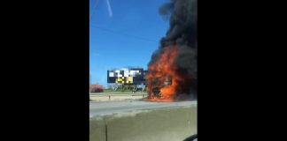 VÍDEO - Caminhão pega fogo e congestiona pista na BR-101, no Norte de Santa Catarina