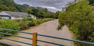 itajaí-mirim