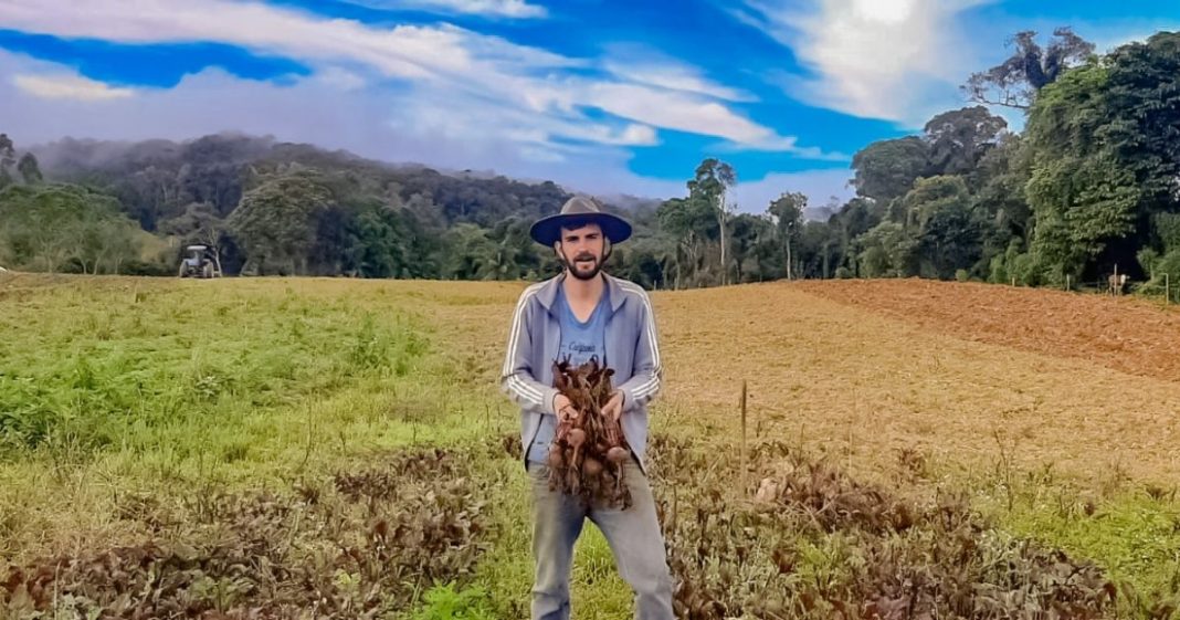 fazenda