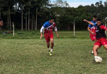 Carlos Renaux Blumenau preparação