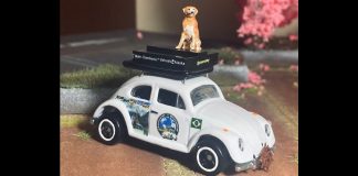 VÍDEO - Guabirubense produz miniatura de fusca Dodongo em homenagem a Jesse e Shurastey