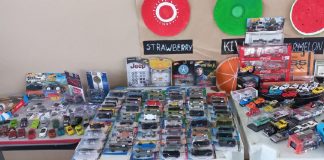 Saiba como surgiu o encontro de colecionadores de miniaturas de carros em Brusque