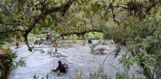 Buscas por mulher que desapareceu em rio do Vale do Itajaí continuam nesta terça-feira