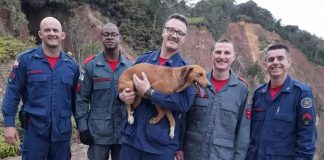 Saiba quantos animais foram resgatados nos últimos pelo Corpo de Bombeiros em Brusque