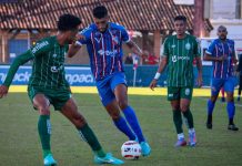 Carlos Renaux Metropolitano Série B Campeonato Catarinense