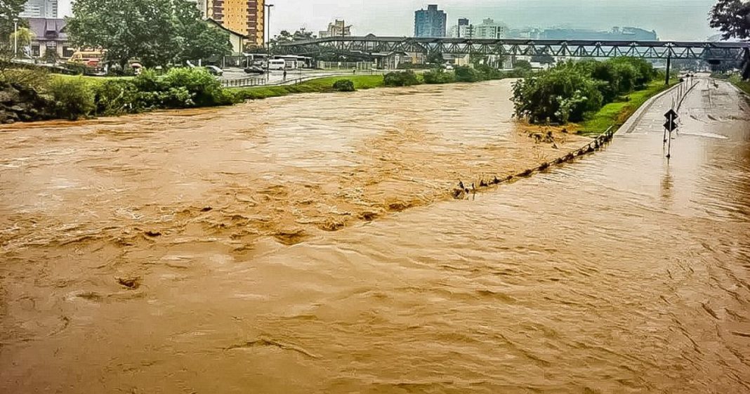 el niño