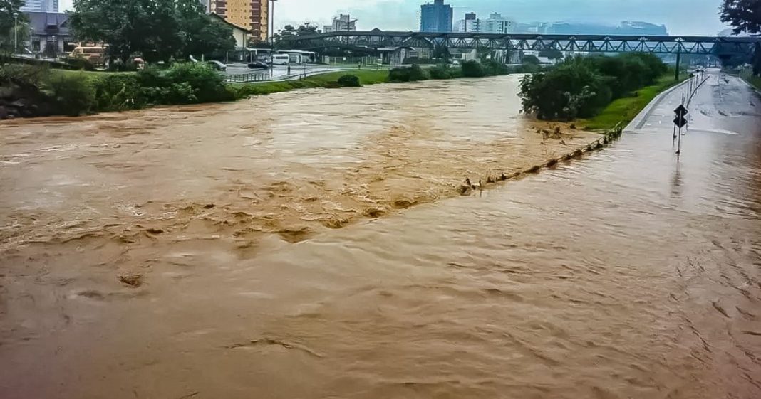 fenômeno