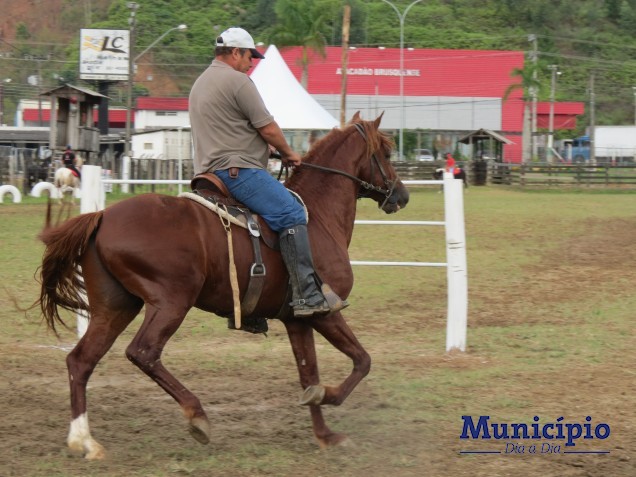 Melhores animais da raça serão conhecidos no domingo